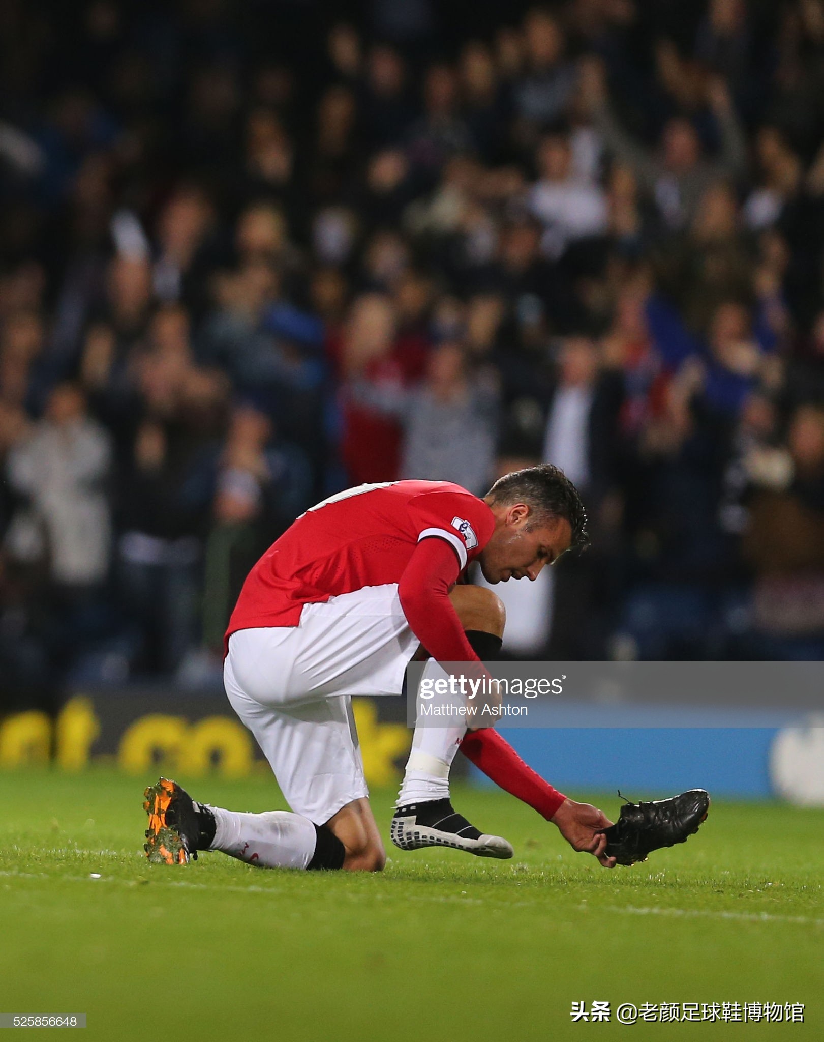 在这个案例 在这个案例